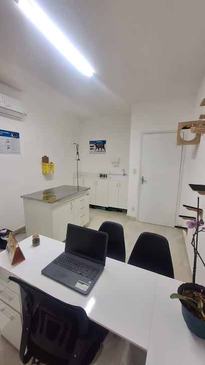 Imagem ilustrativa da empresa AFETTO - Centro Veterinário Popular Afetto em Campinas - SP