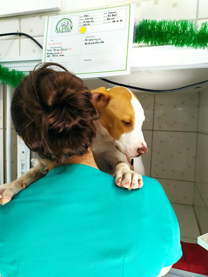 Imagem ilustrativa da empresa Alpha - Hospital Veterinário 24h em Guarulhos - SP