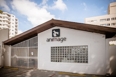 Animage Diagnóstico Veterinário por Imagem em São José dos Campos - SP