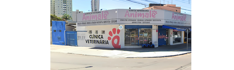 Imagem ilustrativa da empresa Animale Clínica Veterinária em Goiânia - GO