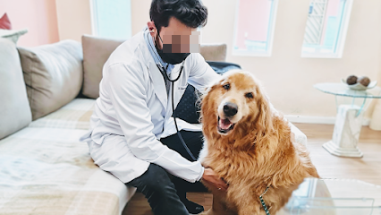 Atendimento Veterinário Domiciliar - Dr. Bertoloni em São Bernardo do Campo - SP