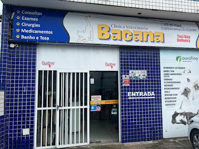 Imagem ilustrativa da empresa Bacana Clínica Veterinária e Pet Shop em Salvador - BA