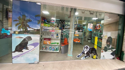 Imagem ilustrativa da empresa Bicho Bão - Clínica Veterinária em Rio de Janeiro - RJ