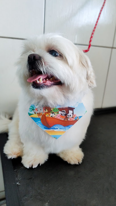 Imagem ilustrativa da empresa Bicho Feliz - Veterinário em Santo André - SP