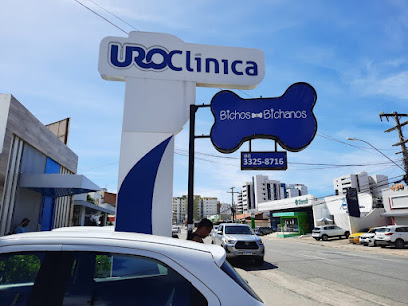 Imagem ilustrativa da empresa Bichos & Bichanos - Veterinário em Maceió - AL