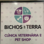 Imagem ilustrativa da empresa Bichos da Terra - Clínica Veterinária em Porto Alegre - RS