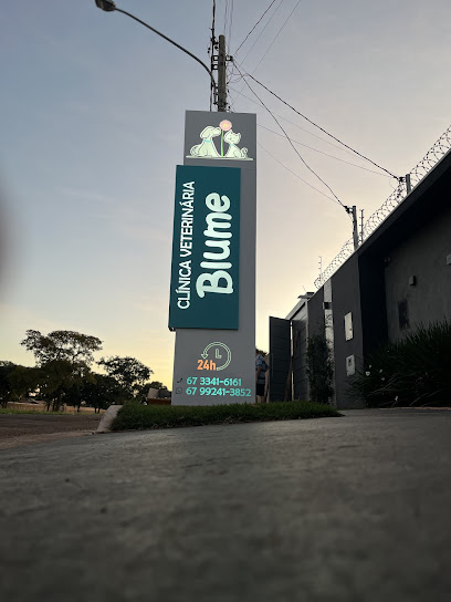 Imagem ilustrativa da empresa Blume Clínica Veterinária 24 Horas em Campo Grande - MS