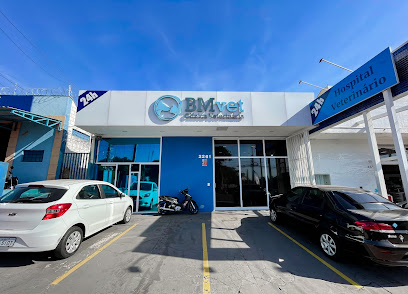 Imagem ilustrativa da empresa BMvet 24 horas - Zona Oeste - Veterinário em Ribeirão Preto - SP