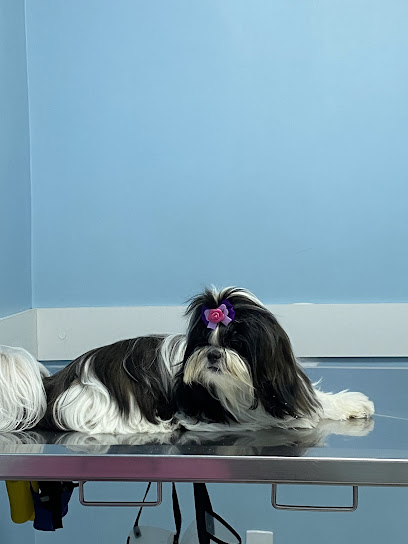 Imagem ilustrativa da empresa BobDog Veterinária em Nova Iguaçu - RJ