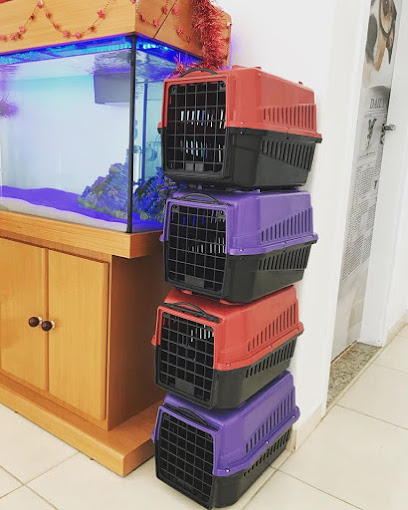 Imagem ilustrativa da empresa BSVet Medicina Animal - Veterinário em Sorocaba - SP