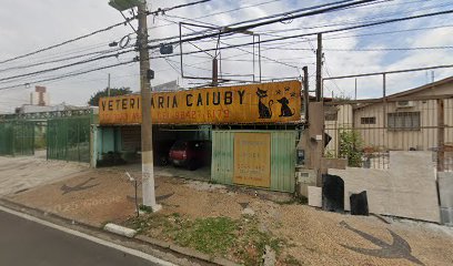 Imagem ilustrativa da empresa Caiuby - Clínica Veterinária em Campinas - SP