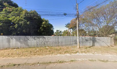 Canil Alto Calibre em Brasília - DF