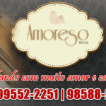 Imagem ilustrativa da empresa Canil Amoreso Brasil - Shih Tzu - RJ em Rio de Janeiro - RJ