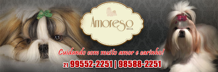 Canil Amoreso Brasil - Shih Tzu - RJ em Rio de Janeiro - RJ