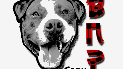 Canil BNP PITBULL e American Bully em Mauá - SP