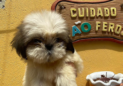 Canil Brutus e Cia em Duque de Caxias - RJ
