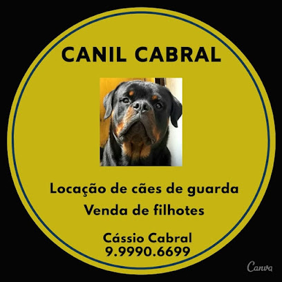 Imagem ilustrativa da empresa Canil Cabral - Locação de cães de guarda em Recife - PE