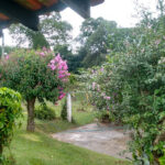 Imagem ilustrativa da empresa CANIL CANDYS GARDEN em Jundiaí - SP