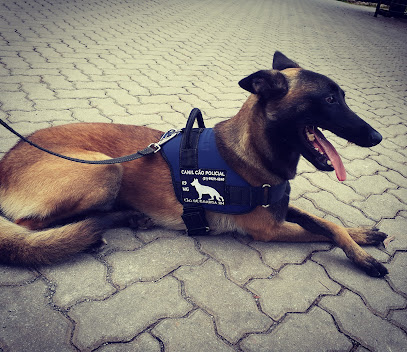 CANIL CÃO POLICIAL - CÃO DE GUARDA BH em Belo Horizonte - MG