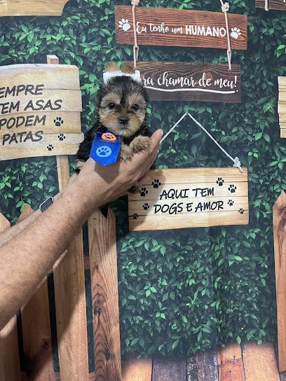 Imagem ilustrativa da empresa Canil caredom em Niterói - RJ