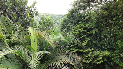 Imagem ilustrativa da empresa Canil Dinamus em Santo André - SP