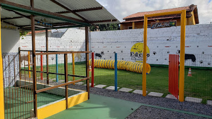 Imagem ilustrativa da empresa Canil Edcão Educado, Adestramento de Cães, Hospedagem e Criação da Raça Border Collie em Salvador - BA