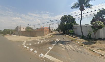 Canil Elisabeth em Goiânia - GO