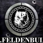 Imagem ilustrativa da empresa Canil Fel Den Bull em Florianópolis - SC