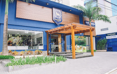 Imagem ilustrativa da empresa Canil Golden Premier - Filhotes de Golden Retriever em Santo André - SP