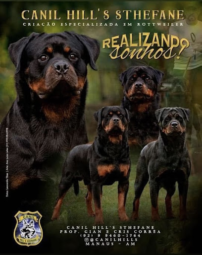 Imagem ilustrativa da empresa Canil Hill's Sthefane em Manaus - AM