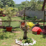 Imagem ilustrativa da empresa Canil JF Dog Show em Betim - MG