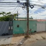 Imagem ilustrativa da empresa Canil Kaiser Eduard em Cuiabá - MT