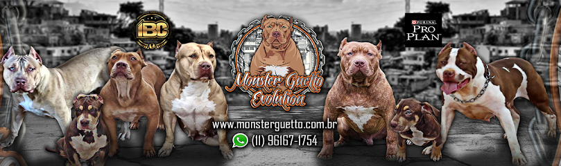 Canil Pit Monster Guetto Evolution em São Paulo - SP