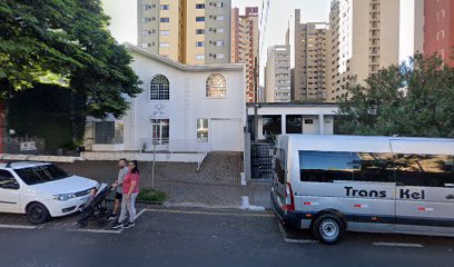 Imagem ilustrativa da empresa Canil Sumiya - Filhotes de Sharpei em Londrina - PR