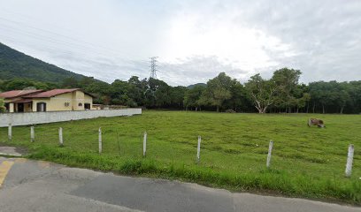 Imagem ilustrativa da empresa Canil TOP SILVERADO em Florianópolis - SC