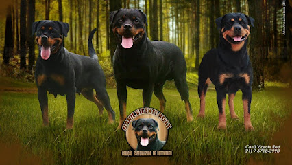 Imagem ilustrativa da empresa Canil Vicente Rott & Cia - Filhotes de Rottweiler e Shih Tzu RJ em Duque de Caxias - RJ