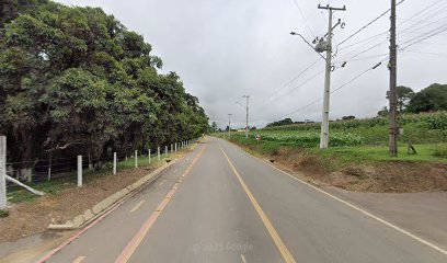 Canil Von Shadow Storm em São José dos Pinhais - PR