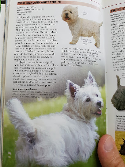 Imagem ilustrativa da empresa Cãopanheiro Clínica Veterinária em Sorocaba - SP