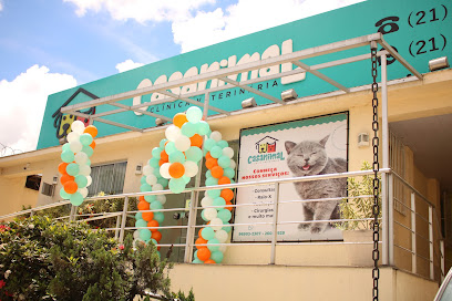 Imagem ilustrativa da empresa Casanimal Clínica Veterinária em São Gonçalo - RJ