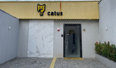 Imagem ilustrativa da empresa Catus - Exclusiva para gatos - 24h - Veterinário em Fortaleza - CE