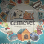 Imagem ilustrativa da empresa Cemevet - Veterinário em Fortaleza - CE