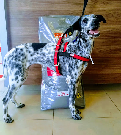 Imagem ilustrativa da empresa CENTER PET Consultório veterinário & Pet Shop em Uberlândia - MG