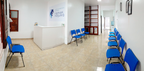 Imagem ilustrativa da empresa Centro de Reabilitação Veterinária Raphael Nogueira em Belém - PA