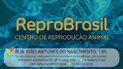 Imagem ilustrativa da empresa Centro de Reprodução Animal ReproBrasil - Veterinário em Sorocaba - SP