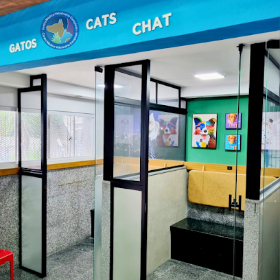 Imagem ilustrativa da empresa Centro Médico Veterinário Campinas em Campinas - SP
