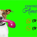 Imagem ilustrativa da empresa Centro Veterinário Amor & Patas em Ananindeua - PA