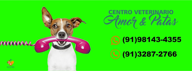 Imagem ilustrativa da empresa Centro Veterinário Amor & Patas em Ananindeua - PA