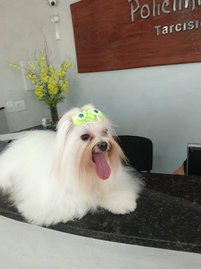 Imagem ilustrativa da empresa Centro Veterinário de Natal em Natal - RN