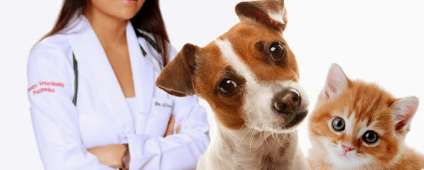 Imagem ilustrativa da empresa Centro Veterinário Pacaembu em São Paulo - SP