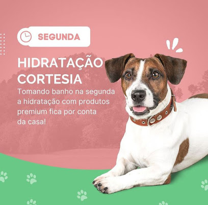 Centro VetPet - Veterinário em Porto Alegre - RS